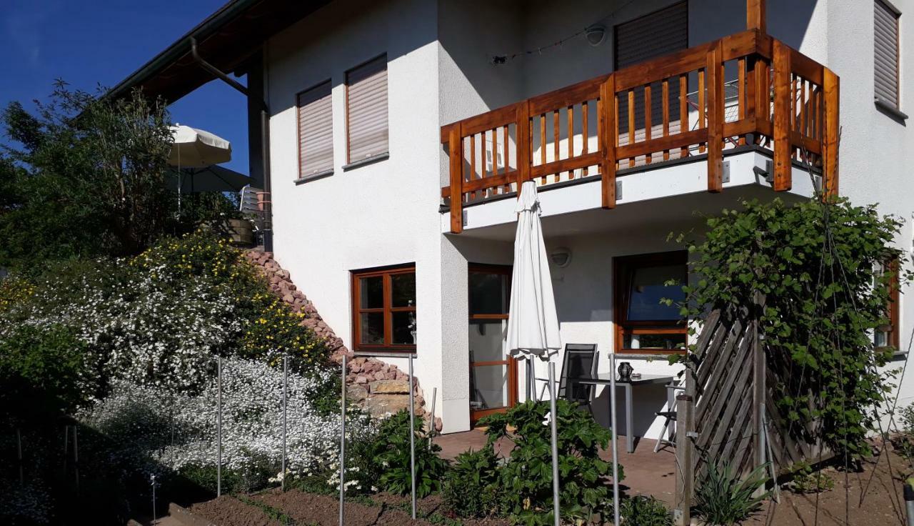 2-Zimmer-Ferienwohnung Gartenblick 罗特威尔 外观 照片