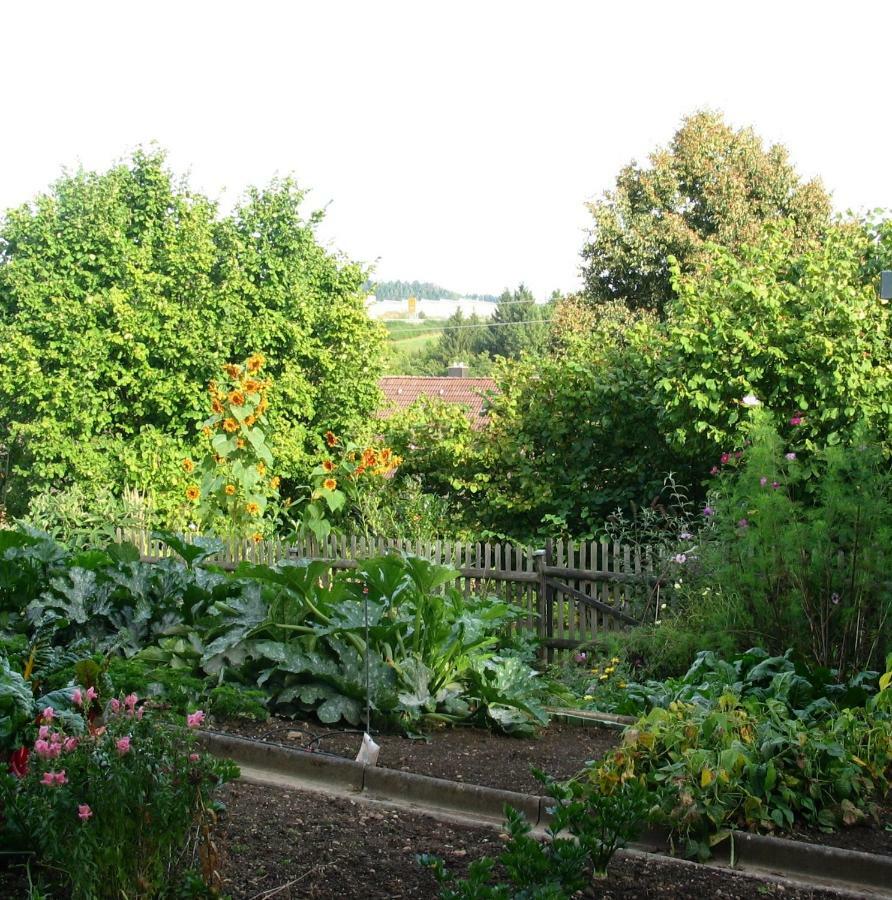2-Zimmer-Ferienwohnung Gartenblick 罗特威尔 外观 照片